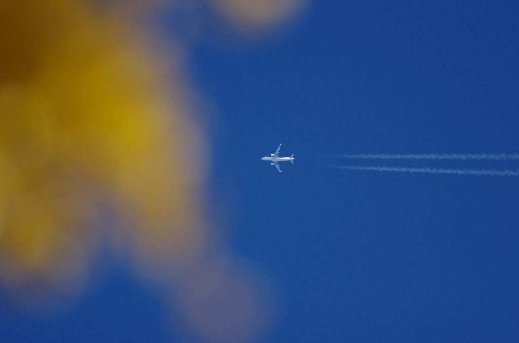 冬の空