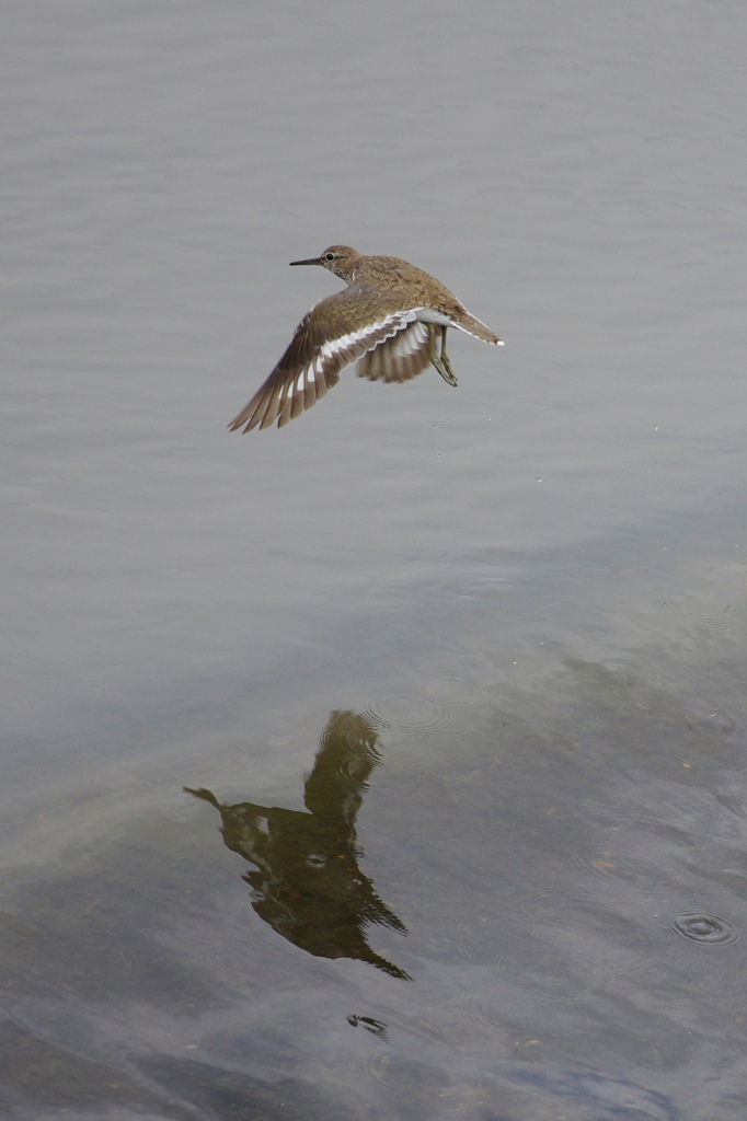 雨が上がって３