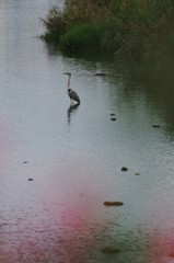 独り