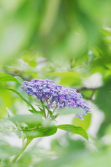 雨の気配　改