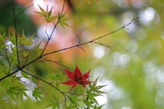 一人ぽっち