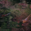 水面の秋９