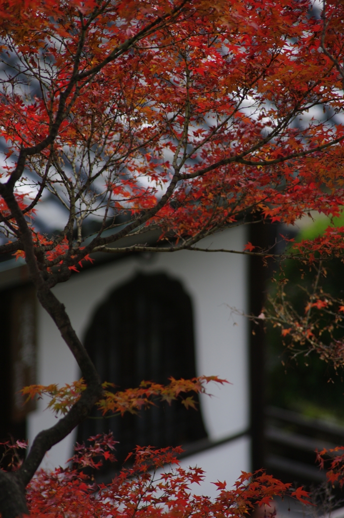 寺の秋