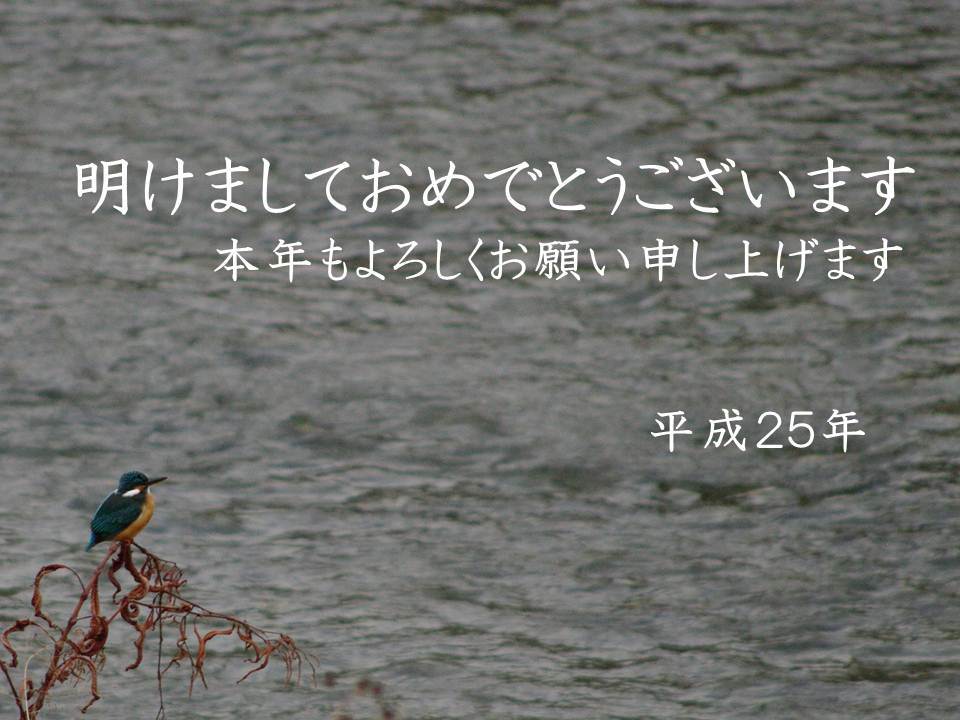 2013年　翡翠（カワちゃん）