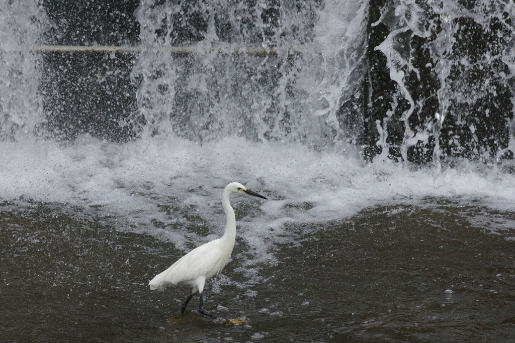 自然のクーラー
