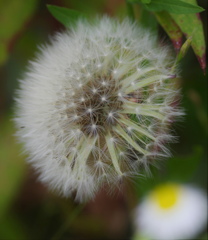 打ち上げ花火