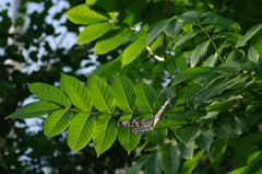 休息