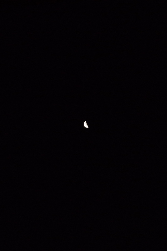 今朝の月 (1)