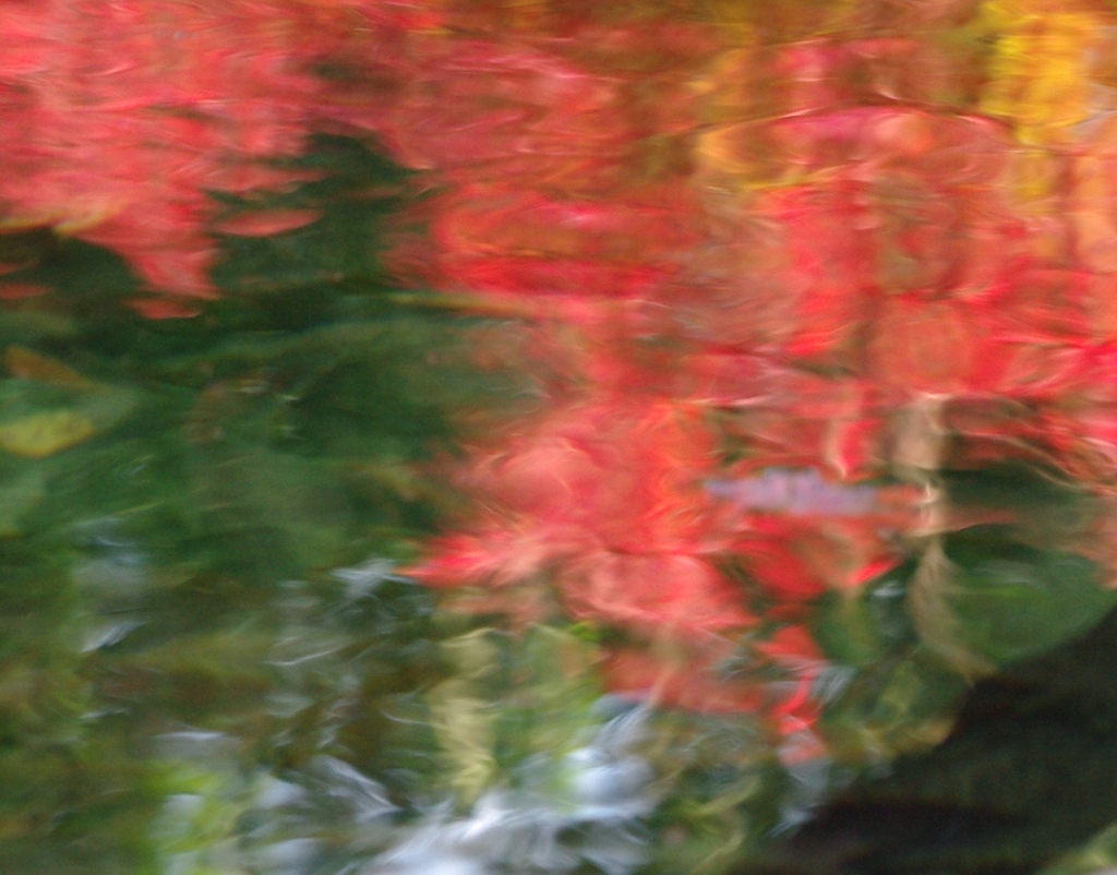 水面に映える