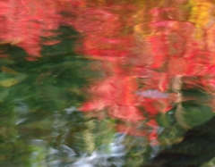 水面に映える