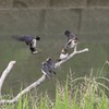 子育て３