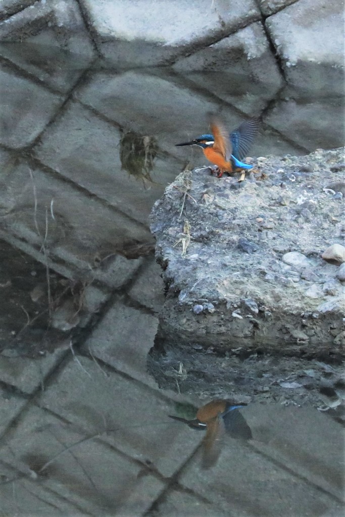 鏡の前で１