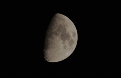 Today's moon is half moon