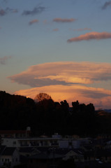 珍しく傘雲