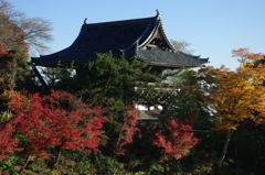 山寺（善峯寺）山門