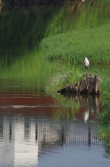 遠景
