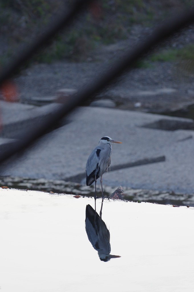 パラレルワールド