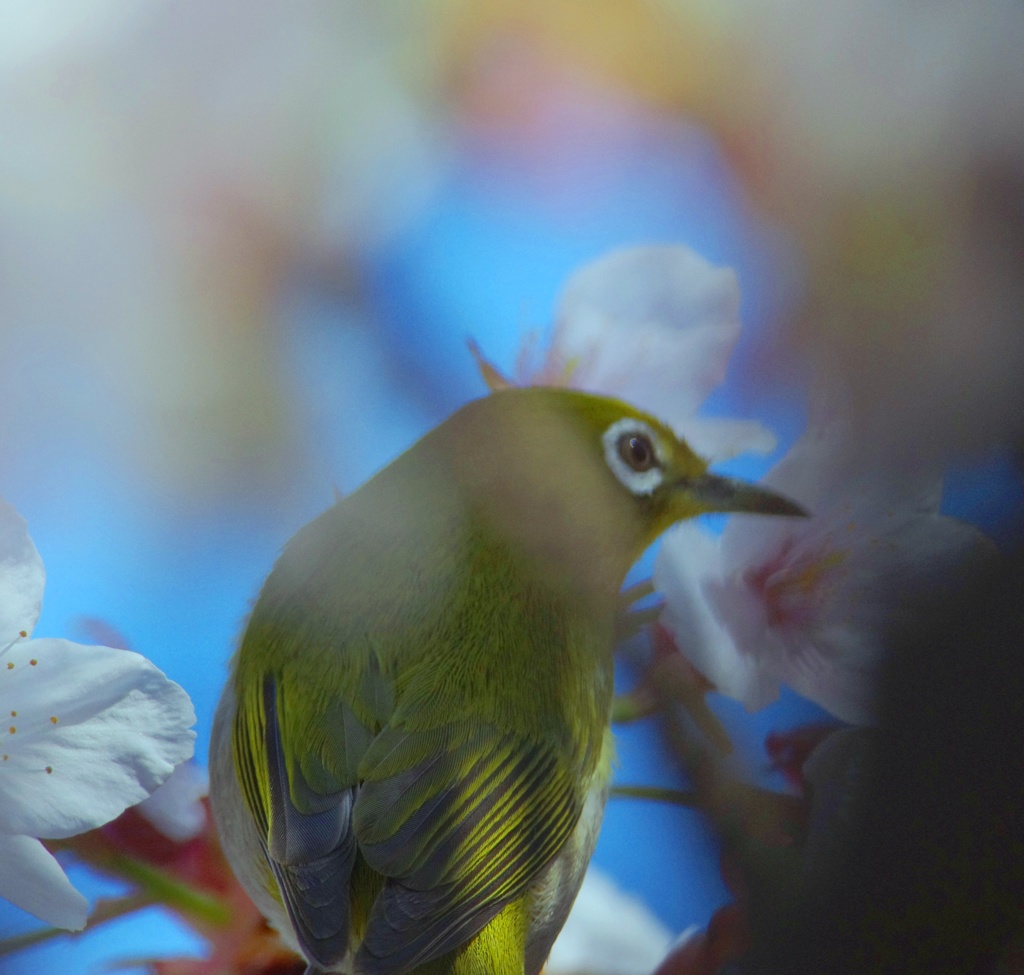 花に埋もれて