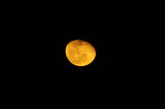 オレンジの月