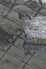 鏡の前で２