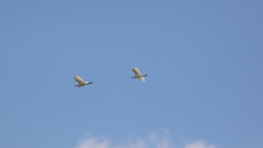 冬の空４