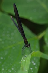 秋の気配