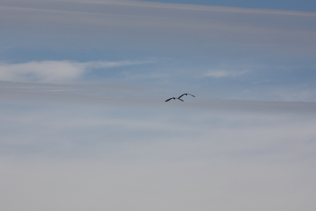 秋の空
