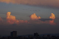 夏の雲