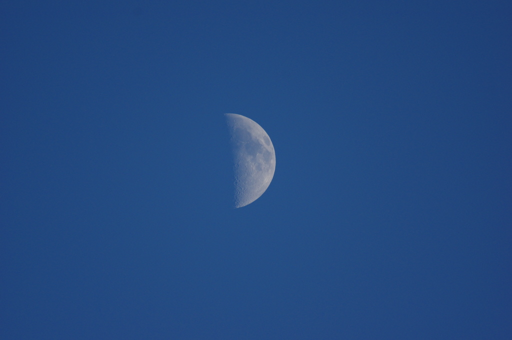 Blue sky and half moom