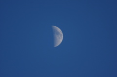 Blue sky and half moom