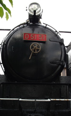 D51