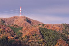 里山の紅葉