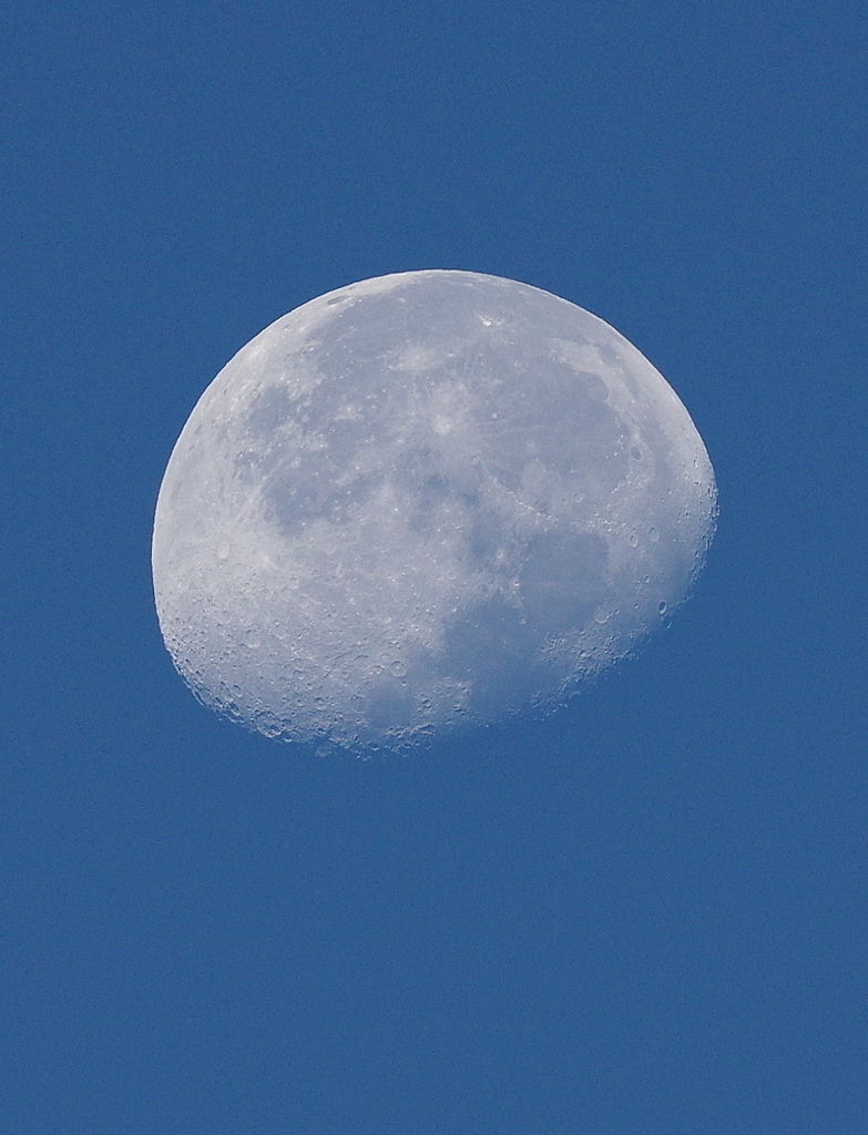 青空に月