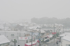 今日も雪