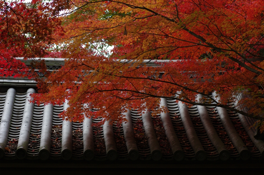 静寂