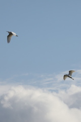 冬の空２