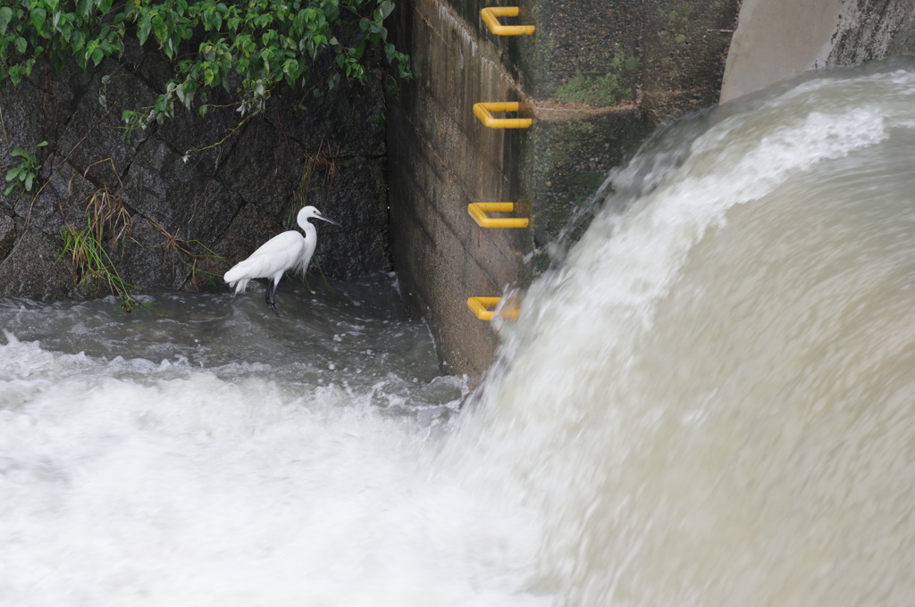 台風避難