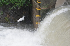 台風避難