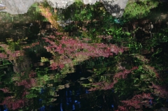 水面の秋２