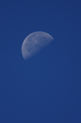 Half moon in the blue sky