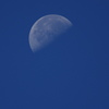 Half moon in the blue sky