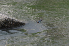 清流