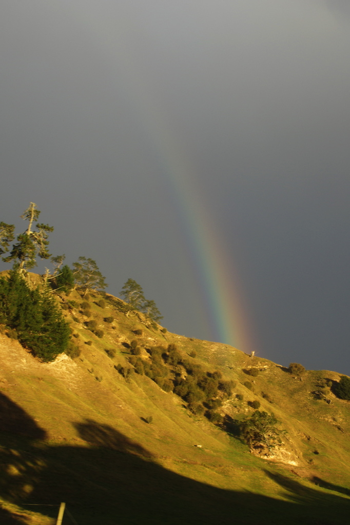 NZ 北島　朝の虹