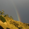 NZ 北島　朝の虹