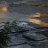 梅雨明け４