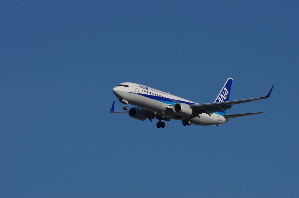 ボーイング737　①