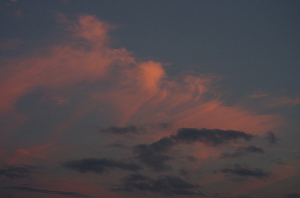 summer dusk
