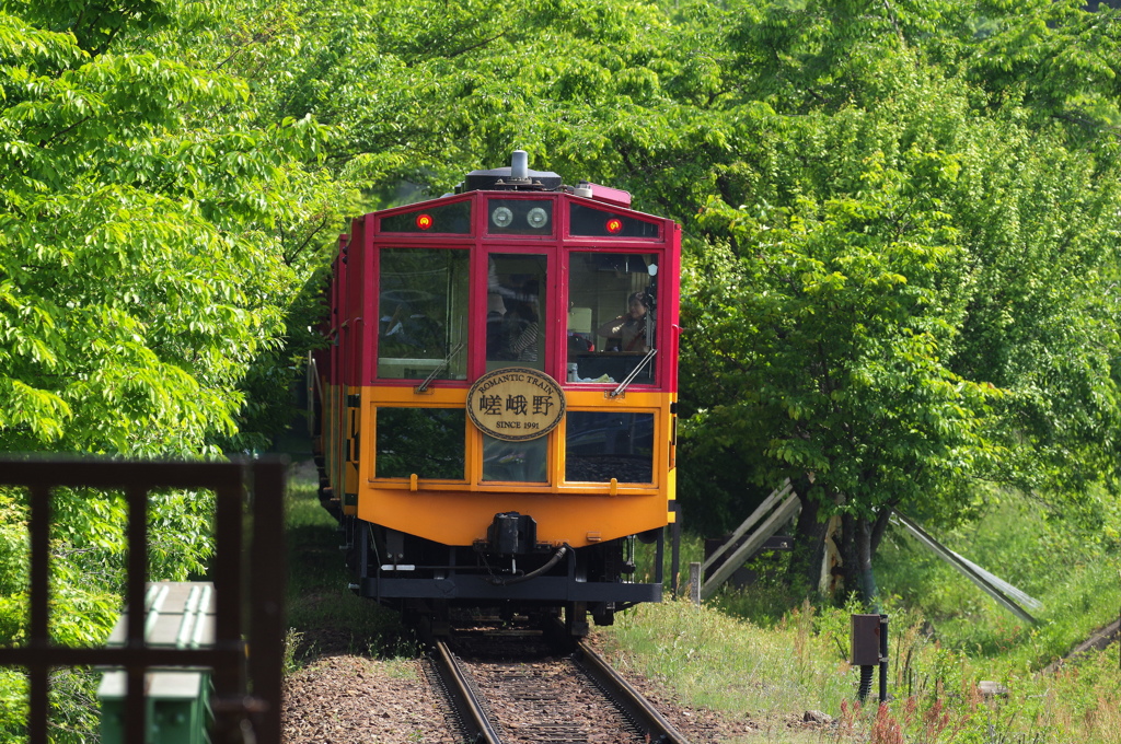 トロッコ列車