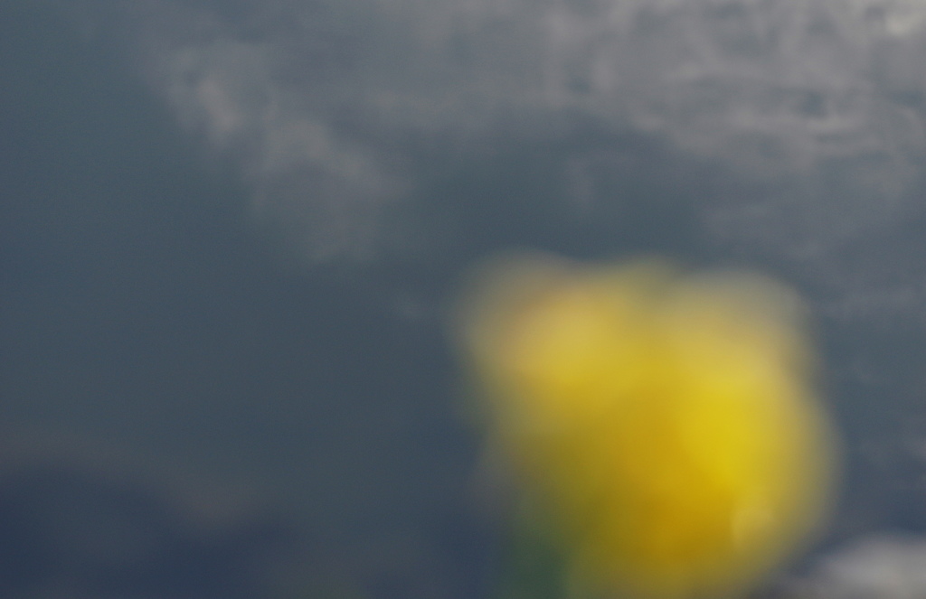 夏の空