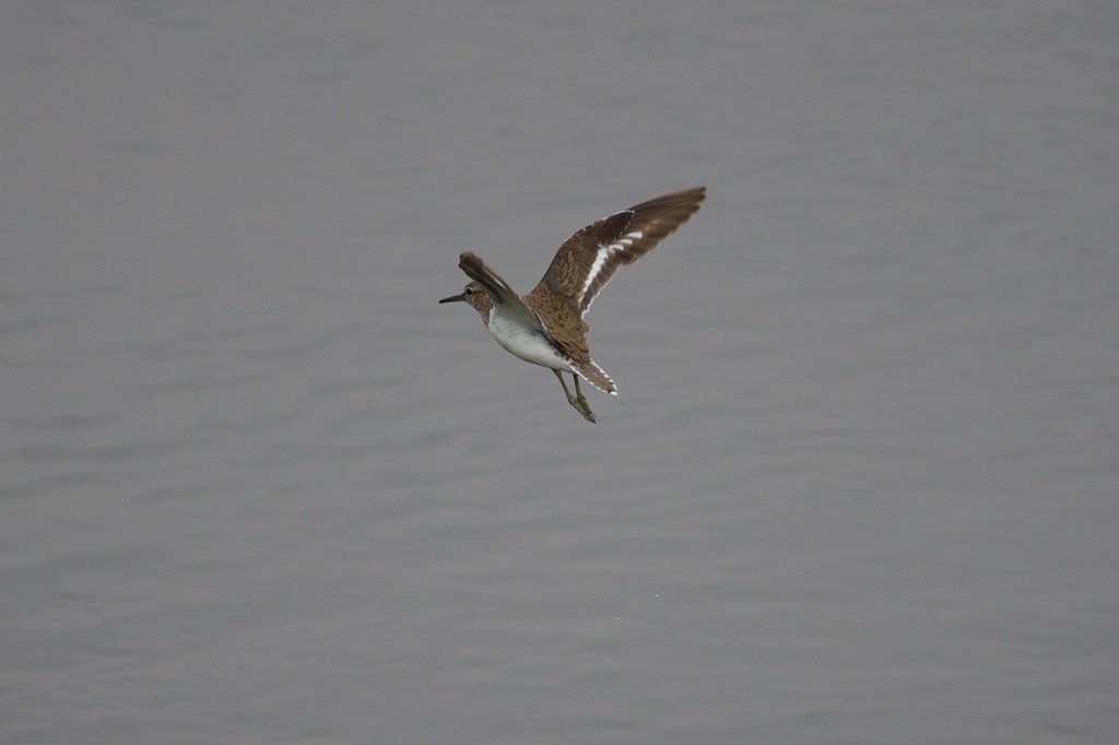 雨が上がって４